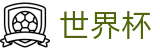 FIFA 2026世界杯 · 加密安全通道和中文认证